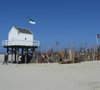 Grote Beer | Strand | Holland Sail